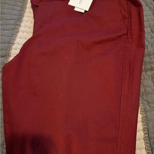 41 Hawthorn Rosabel Burgundy Skinny Pants